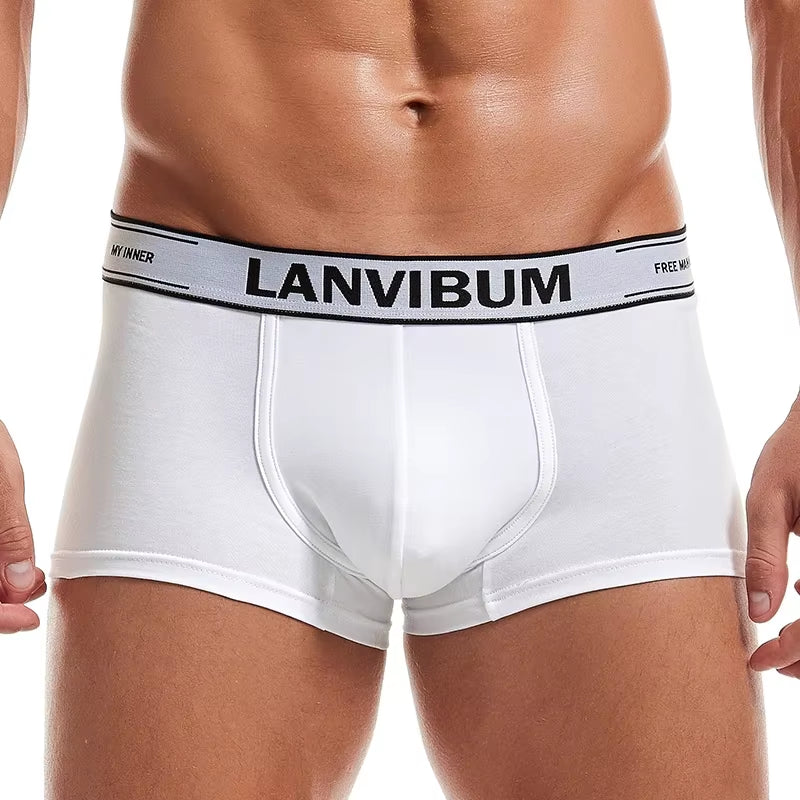 Men Underwear Boxer Shorts Cotton Soft Cueca Masculina Boxers Homme Calzoncillos Underpants