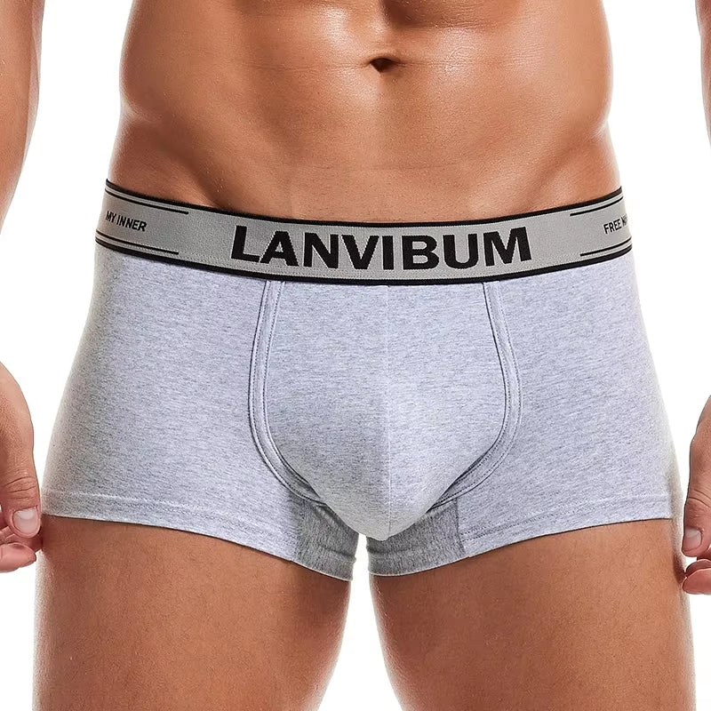 Men Underwear Boxer Shorts Cotton Soft Cueca Masculina Boxers Homme Calzoncillos Underpants