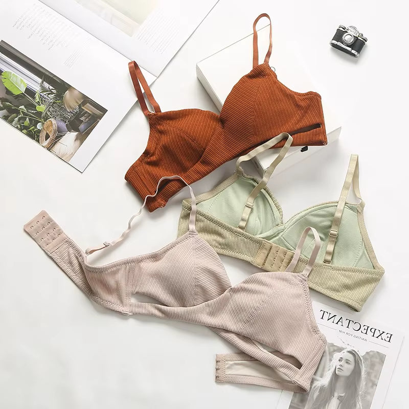 Women Bra and Panties Set Cotton Panties Push up Bras Low Rise Underwear Set Women Sexy Lingerie Set Intimates