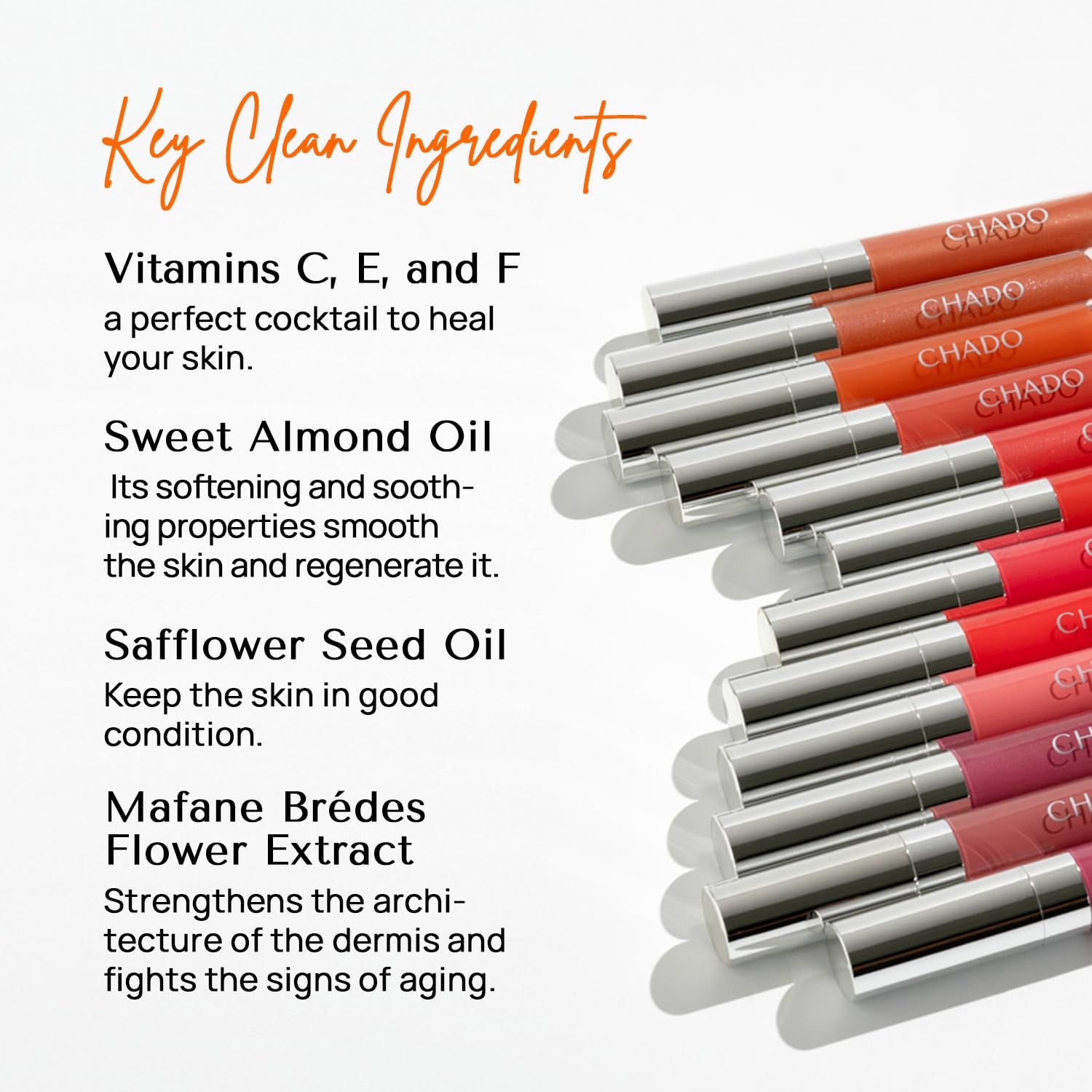 COSMETICS LIP GLOSS (Joyful)