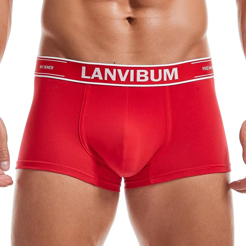 Men Underwear Boxer Shorts Cotton Soft Cueca Masculina Boxers Homme Calzoncillos Underpants