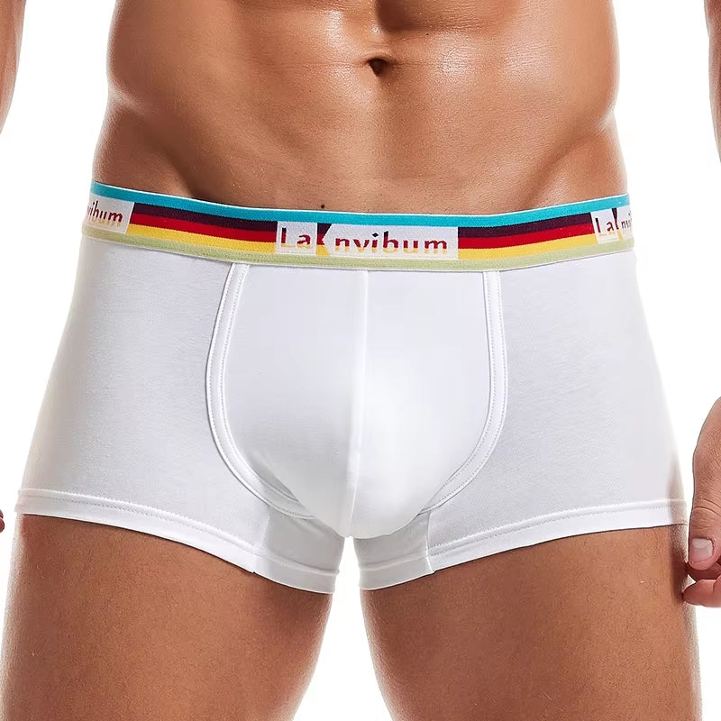 Men Underwear Boxer Shorts Cotton Soft Cueca Masculina Boxers Homme Calzoncillos Underpants