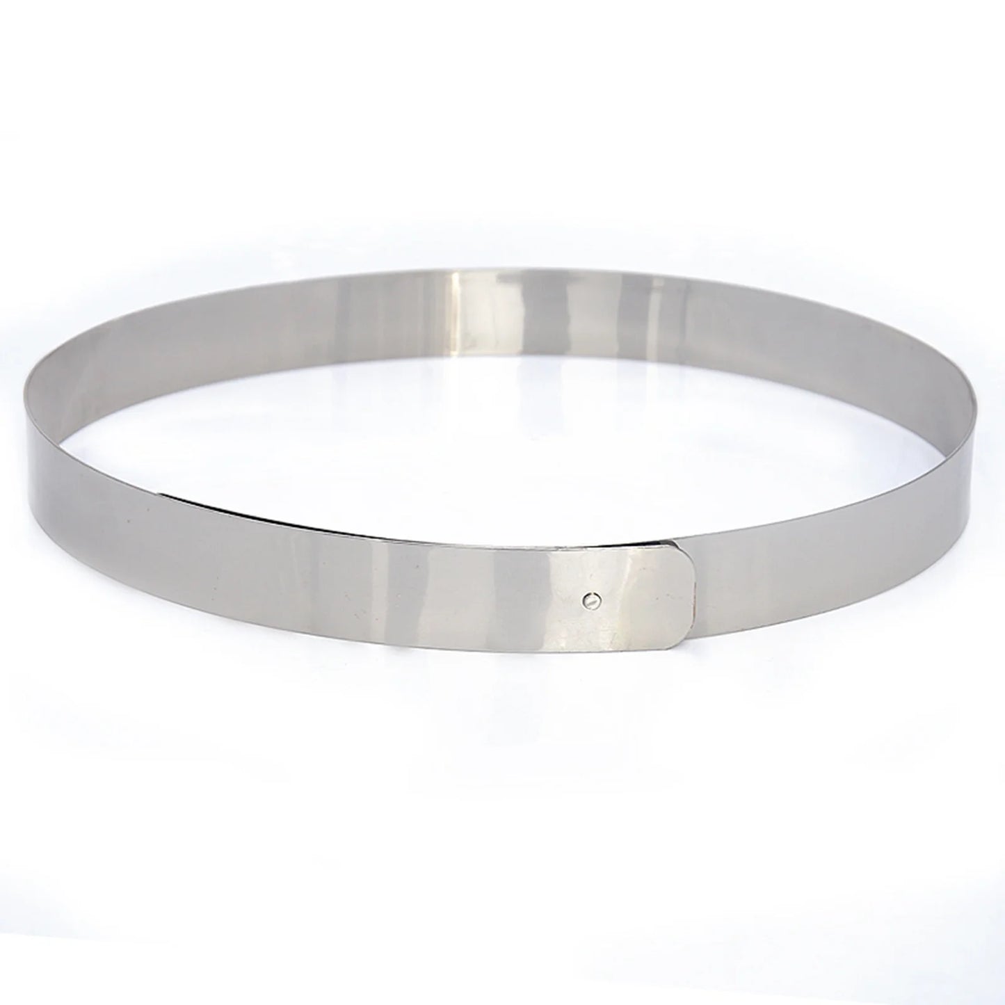 Female Leather Belt Women Silver Buckle Women Skinny Metal Belts Women Slim Fit Metal Chain Belts Gold Silver Thin Stretch Metal Fashion Dress Belts Belts for Women Western Style Black